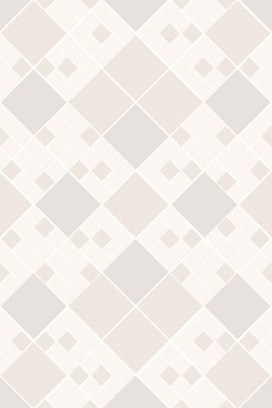 Gạch ốp tường Viglacera B4553