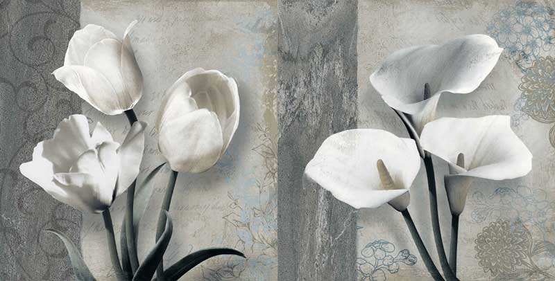 Gạch ốp tường Viglacera BS 3642A