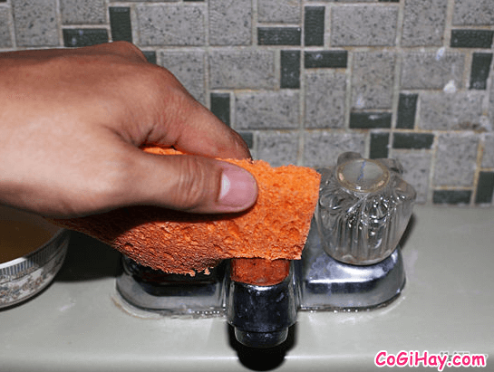 Sen vòi inox gật gù tẩy trắng