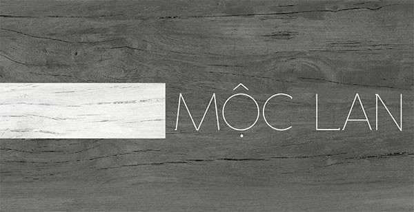 bo-suu-tap-moc-lan-gach-eurotile-viglacera Tháng 5 rực rỡ cùng bộ sưu tập Mộc Lan gạch Eurotile Viglacera