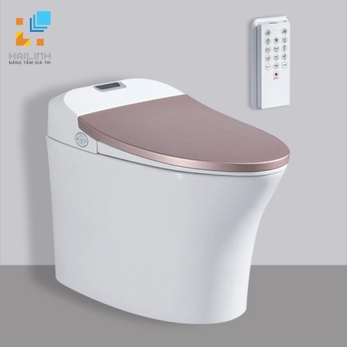 bon-cau-thong-minh-viglacera-v93-1-500x500