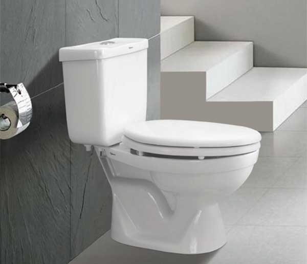 Có nên sử dụng bồn cầu 2 khối Viglacera trong không gian nhà mình không
