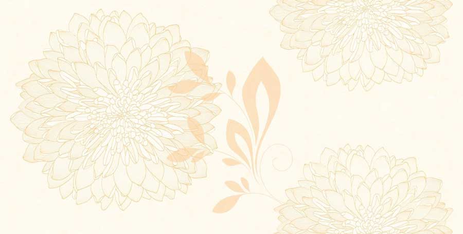 f3618a 4 lưu ý nhỏ ‘không nên bỏ’ khi chọn gạch ốp nhà vệ sinh Viglacera cho nhà cấp bốn