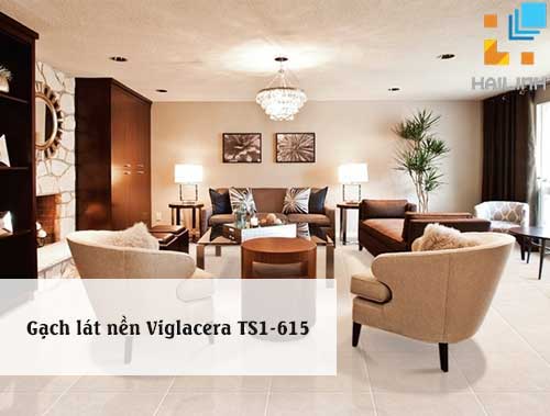 Gạch lát nền Viglacera TS1-615