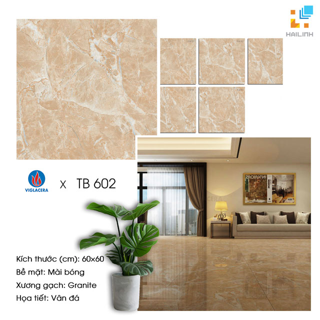 gach-lat-nen-viglacera-tb602