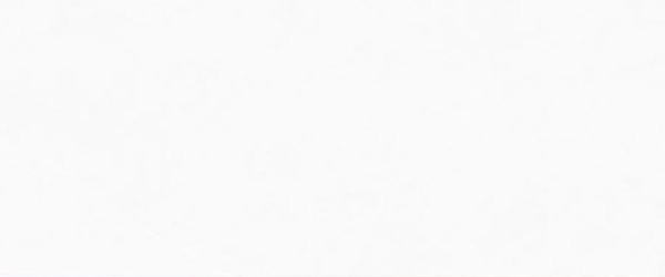 Gạch Eurotile NGC L01