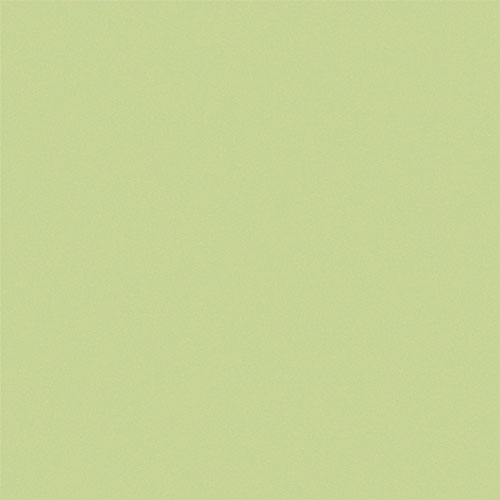 Gạch lát nền Viglacera BN604