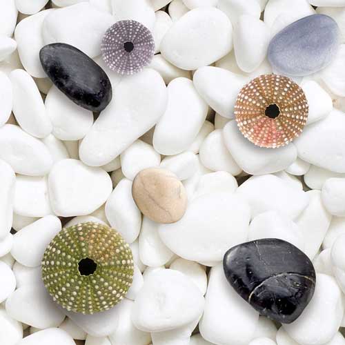 Gạch lát sàn chống trơn không mài cạnh