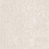 Gạch lát nền Viglacera TS2-617