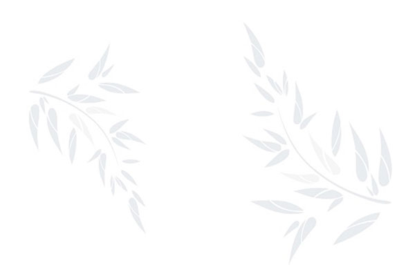 Gạch ốp tường Viglacera UB 4501