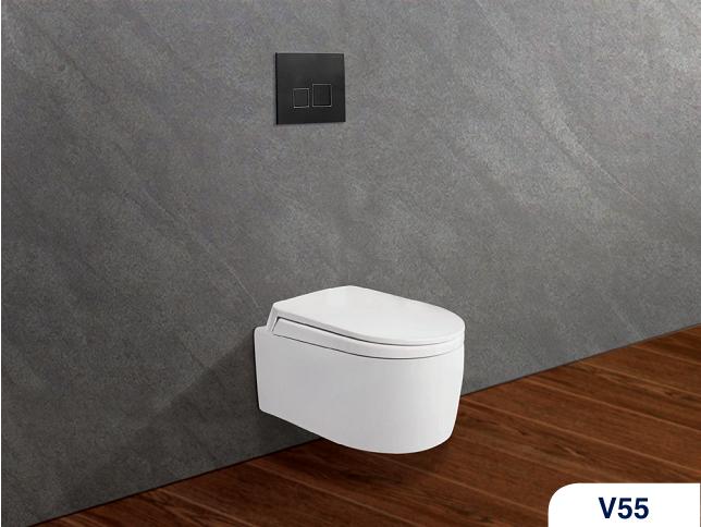 Bồn cầu két nước âm treo tường Viglacera V55