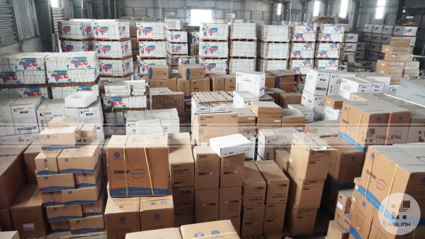 Sen-tam-cay-Viglacera-VG581