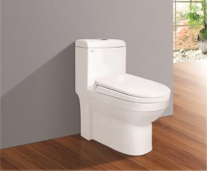 Phân tích ưu, nhược điểm của các loại bồn cầu Viglacera