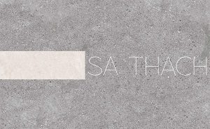 Review bộ sưu tập Sa Thạch chất liệu gạch Eurotitle của Viglacera