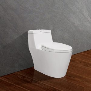 Bồn cầu viglacera thế hệ mới