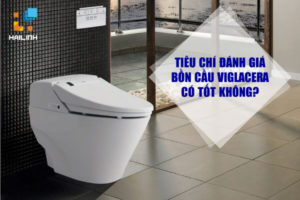 bon-cau-viglacera-co-tot-khong-1