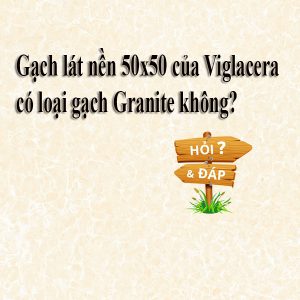 Gạch lát nền 50x50 của Viglacera có loại gạch Granite không?
