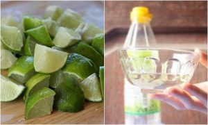 khử mùi nhà vệ sinh