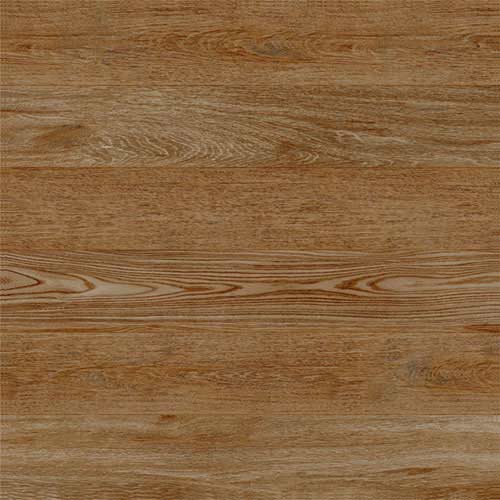 Gạch lát nền G6003