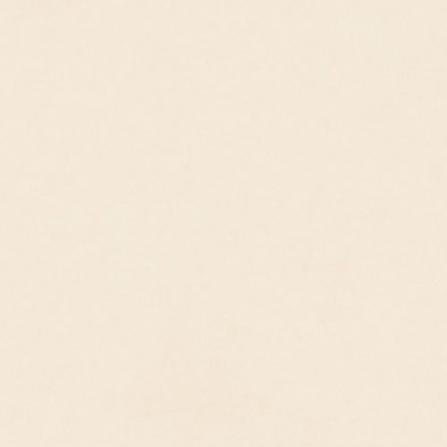 Gạch lát nền ECO M825