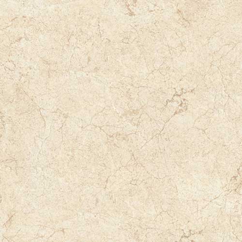 Gạch lát nền ECO S821