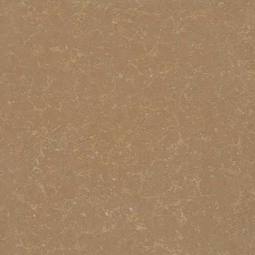 Gạch lát nền TS2 810