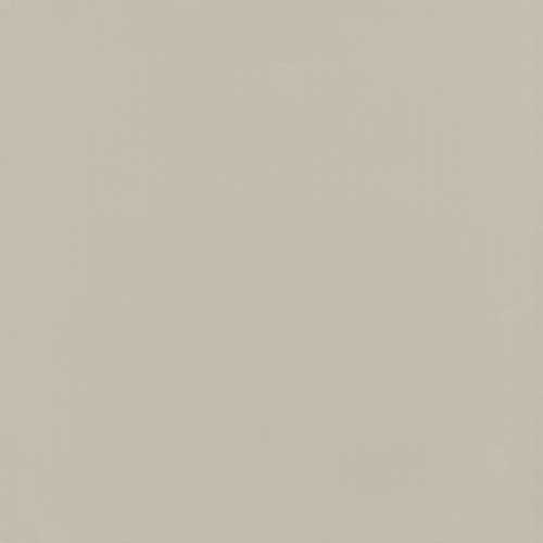 Gạch lát nền ts5 800