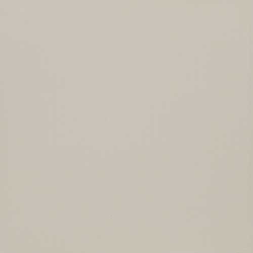 Gạch lát nền ts5 801