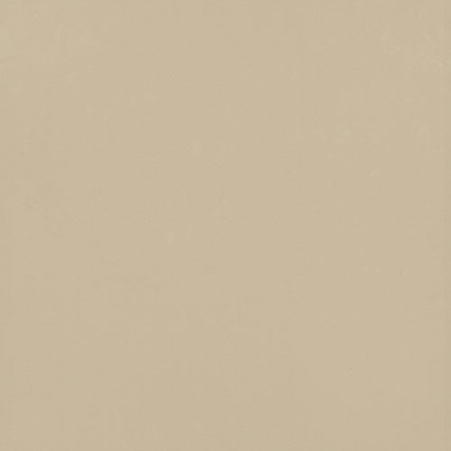 Gạch lát nền TS5 802