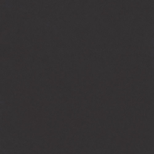 Gạch lát nền TS5 836