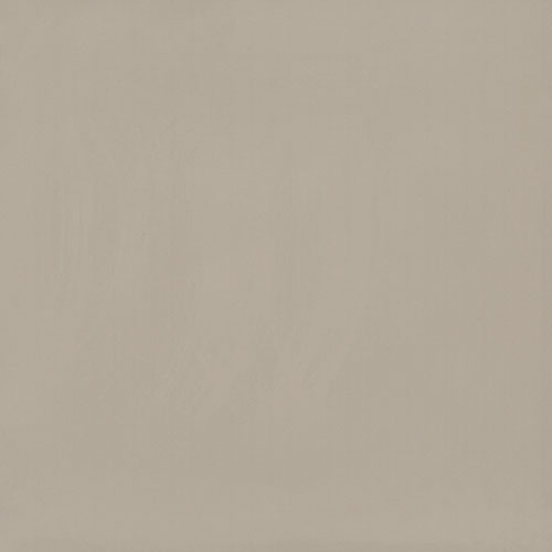 Gạch lát nền TS6 801