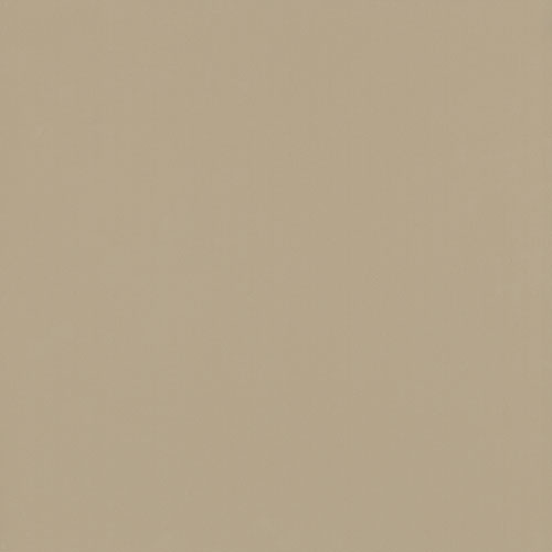 Gạch lát nền TS6 802