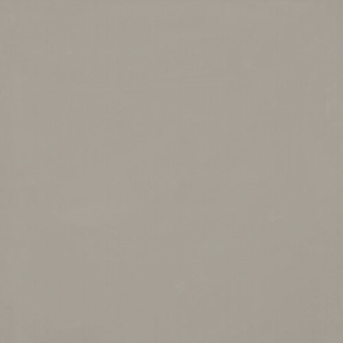 Gạch lát nền TS6 803