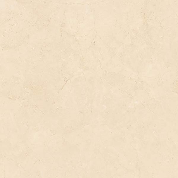 Gạch lát nền Viglacera ECO S820