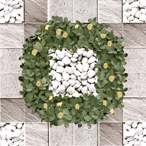 Gạch lát nền Viglacera SG 404