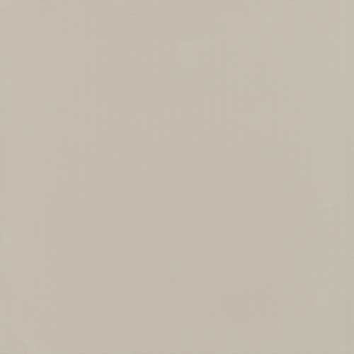 Gạch lát nền Viglacera TS5 800