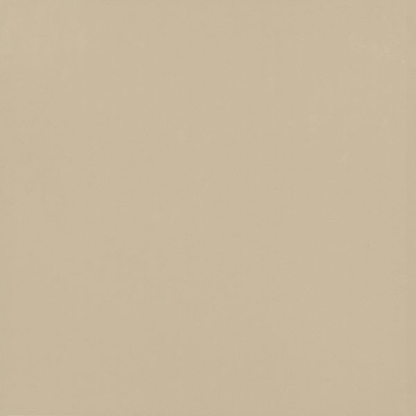 Gạch lát nền Viglacera TS5 802