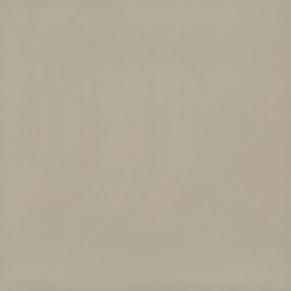 Gạch lát nền Viglacera TS6 801