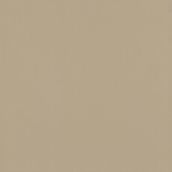 Gạch lát nền Viglacera TS6 802