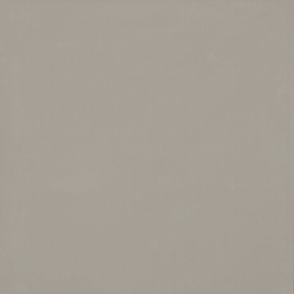 Gạch lát nền Viglacera TS6 803