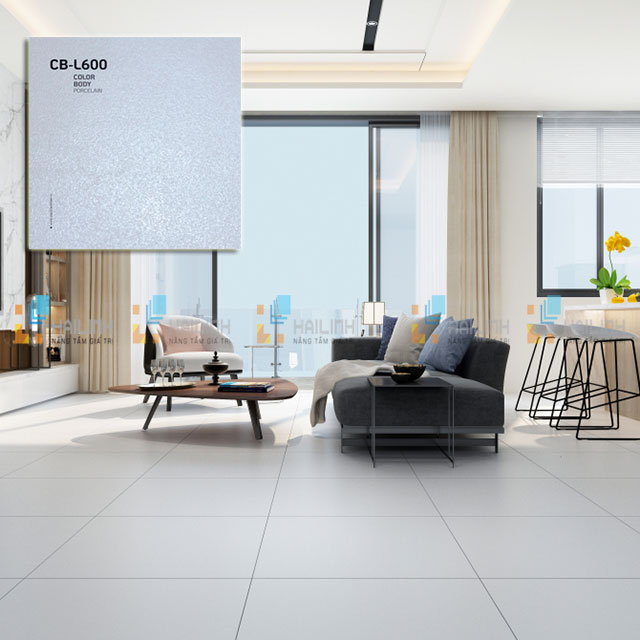 Cách chọn gạch Viglacera 60x60 hay nhất