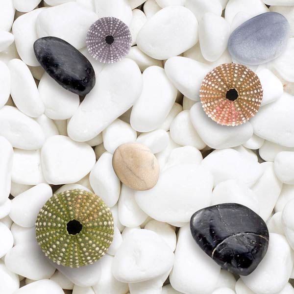 gạch lát nền viglacera gq 306