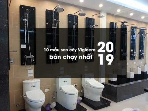 10 mẫu sen cây bán chạy nhất cuối năm 2019