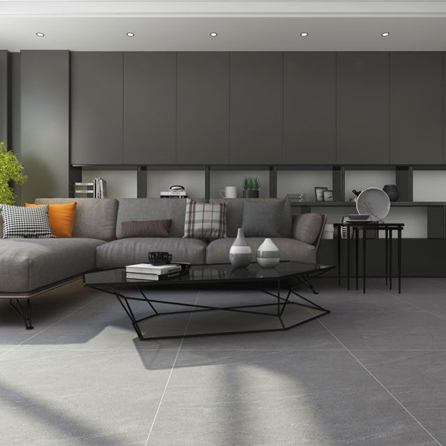 Gạch ốp phòng khách men mờ