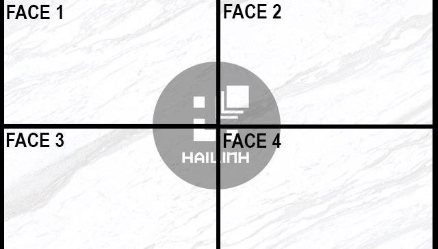 face-gach-viglacera-pm3680