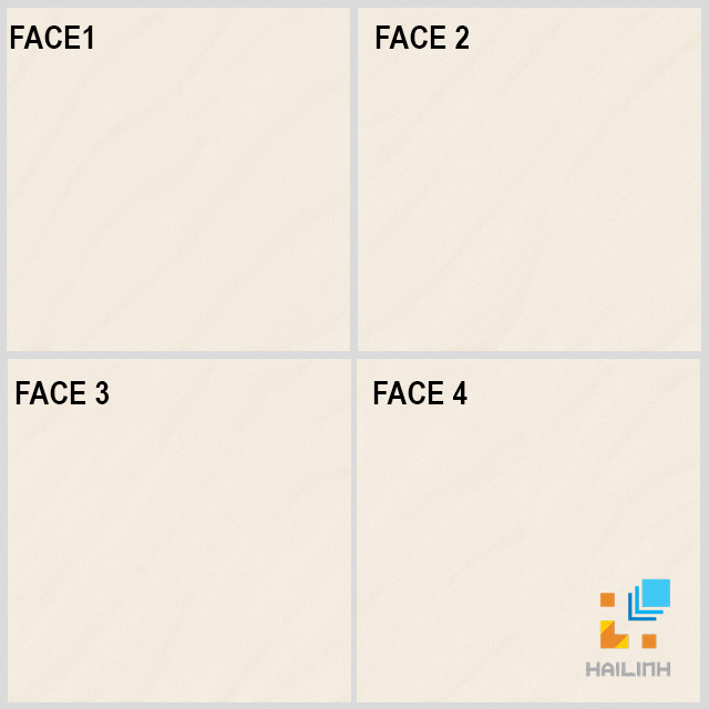 gach Viglacera CB-P604 