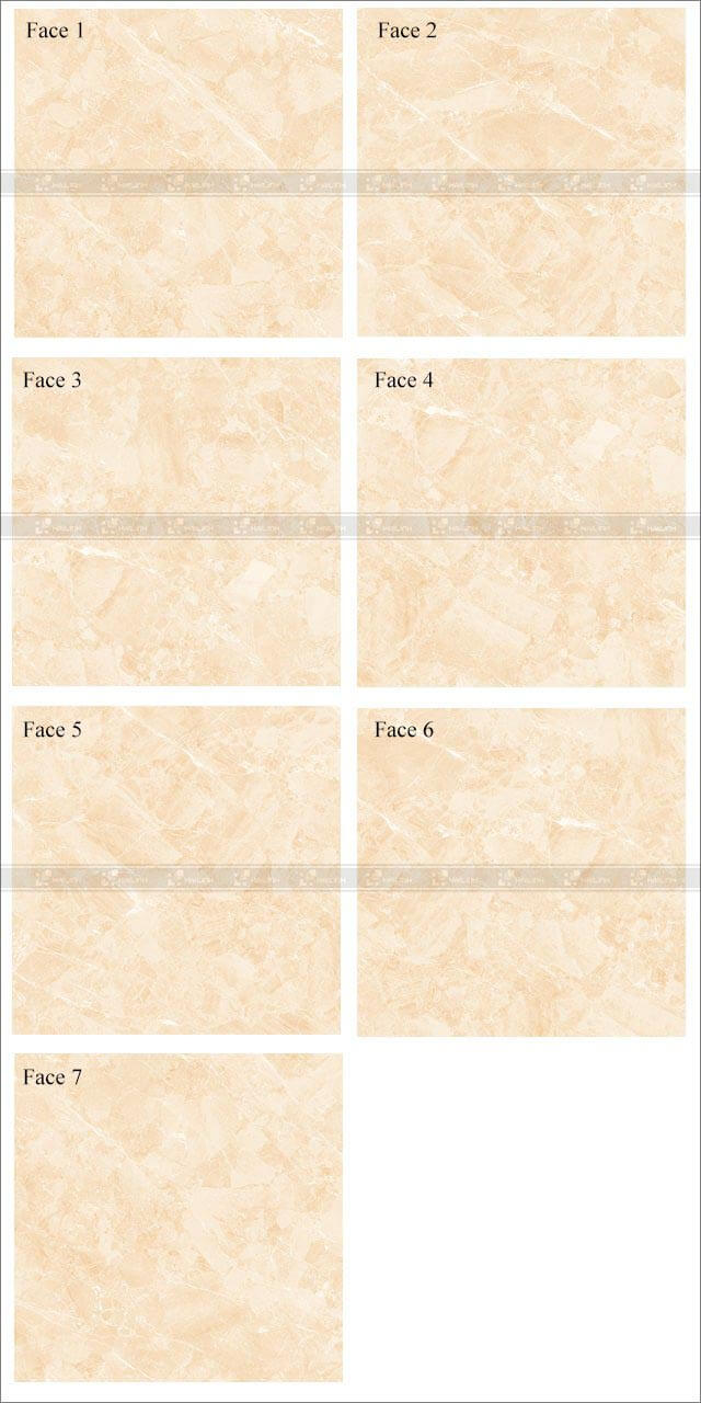 Face gạch lát nền Viglacera TB-808 Face gạch lát nền Viglacera TB-808