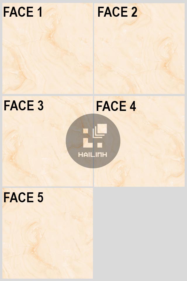 Gạch lát nền Viglacera TQ601 face-gach-viglacera-tq601