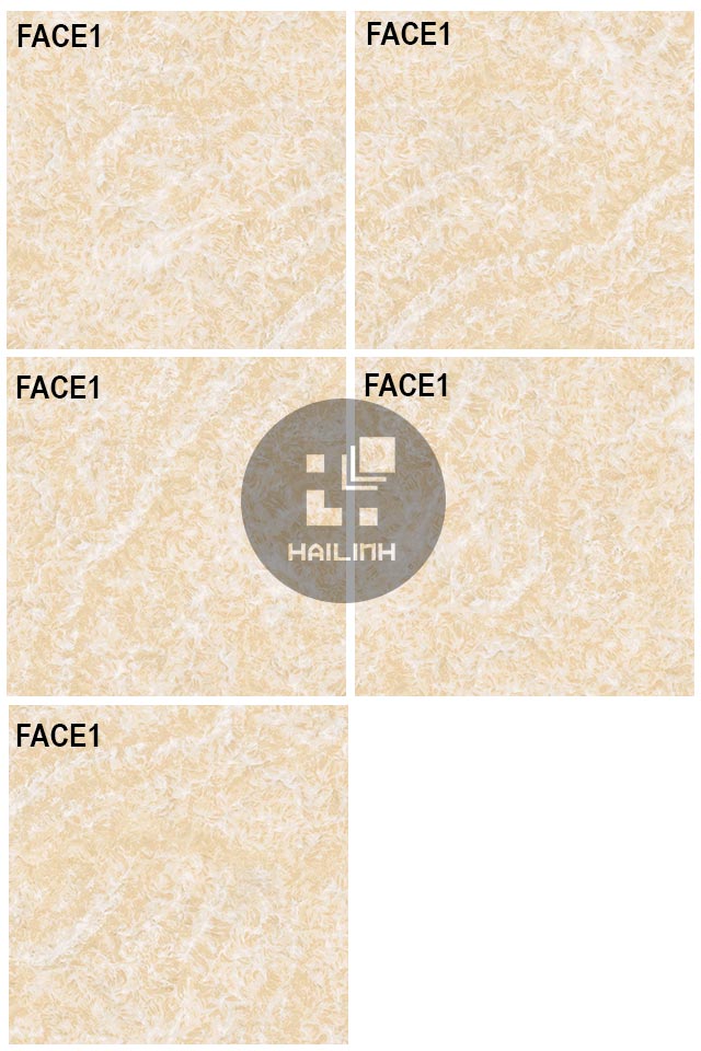 Gạch lát nền Viglacera TQ602 face-gach-viglacera-tq602