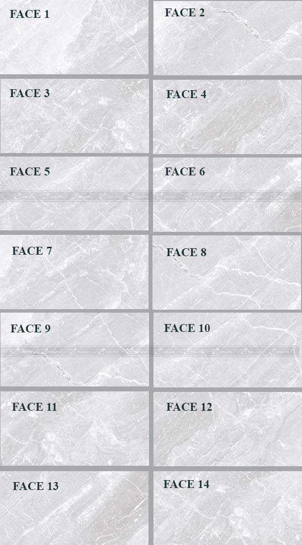 Gạch ốp tường Viglacera CB-P3607